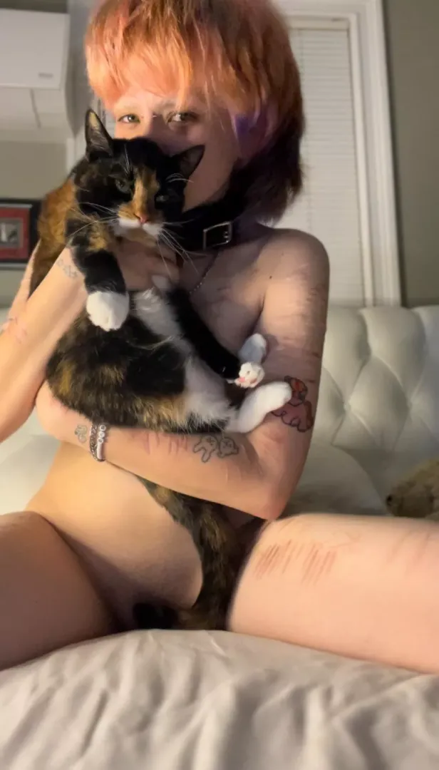 two 🐱 one pic