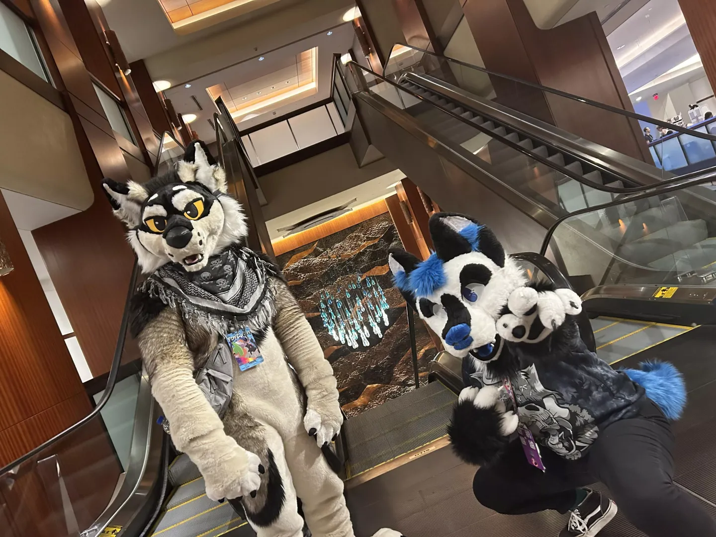 Two silly dogs just doing dog things