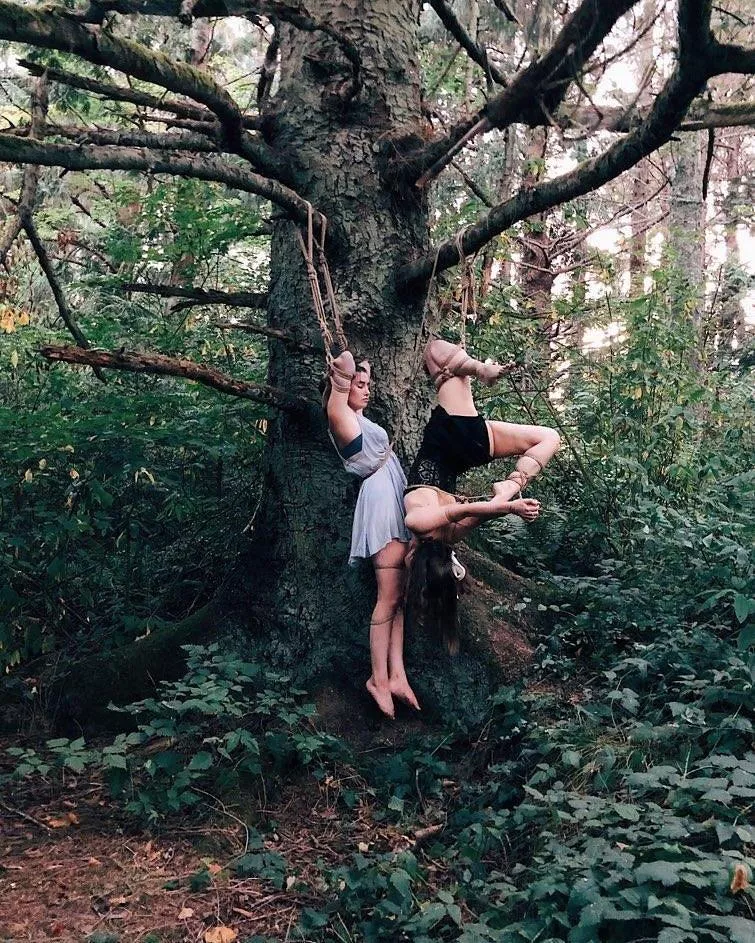 Two tied in the woods