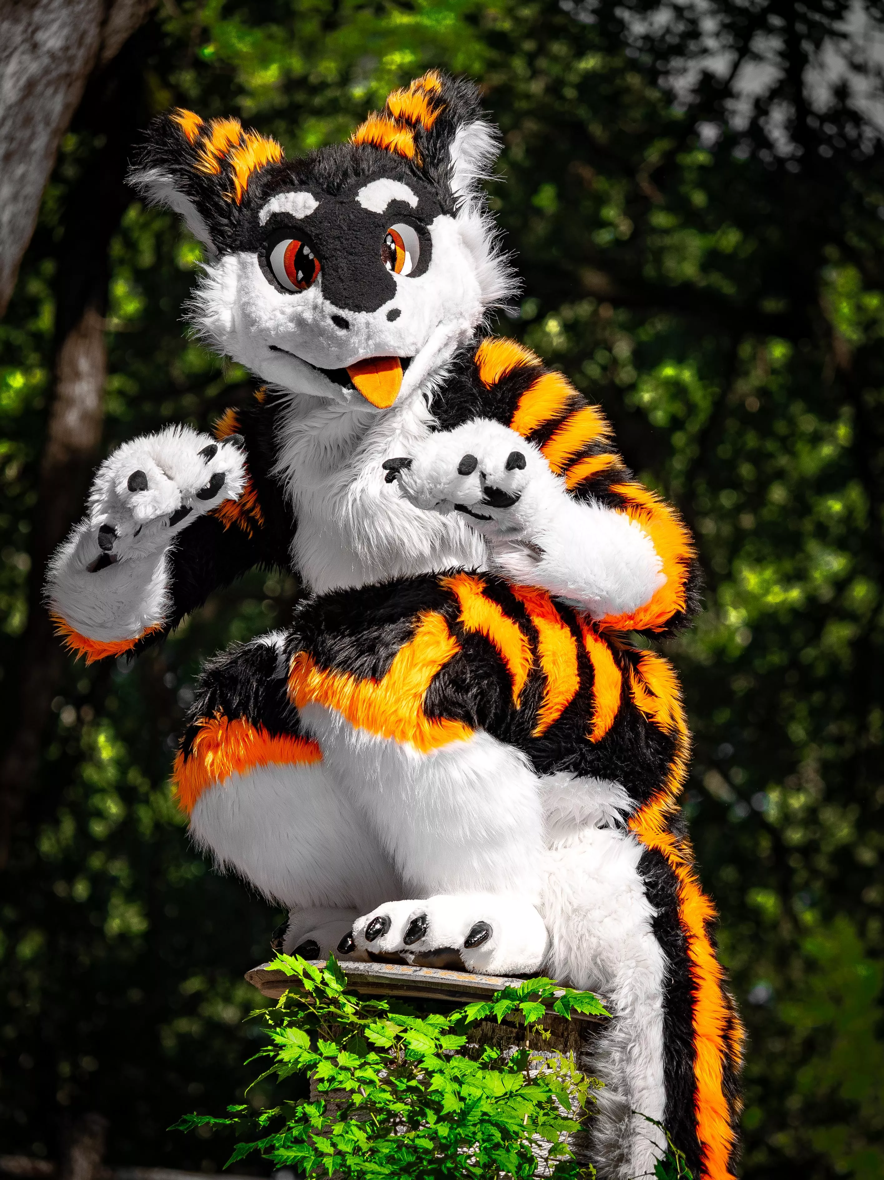 U stumbled across a perching cheese!! What do u do?? :>