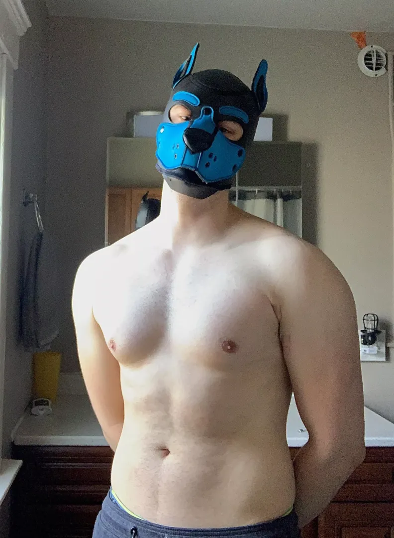 Uhhh… woof?