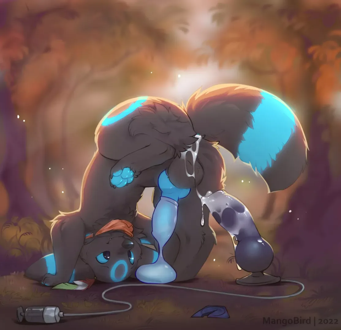 Umbreon [M]