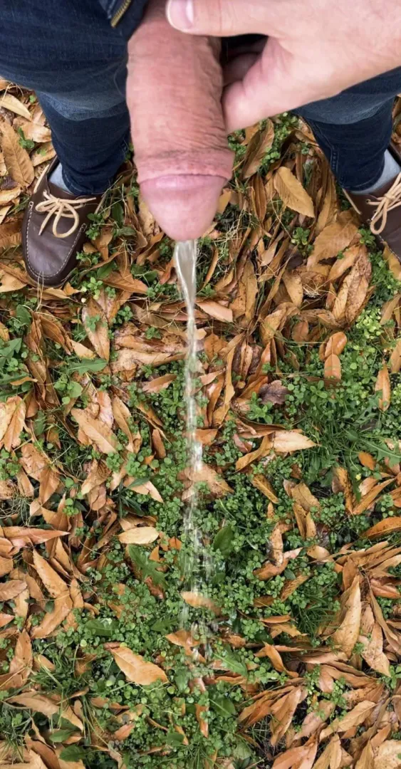 Under a tree