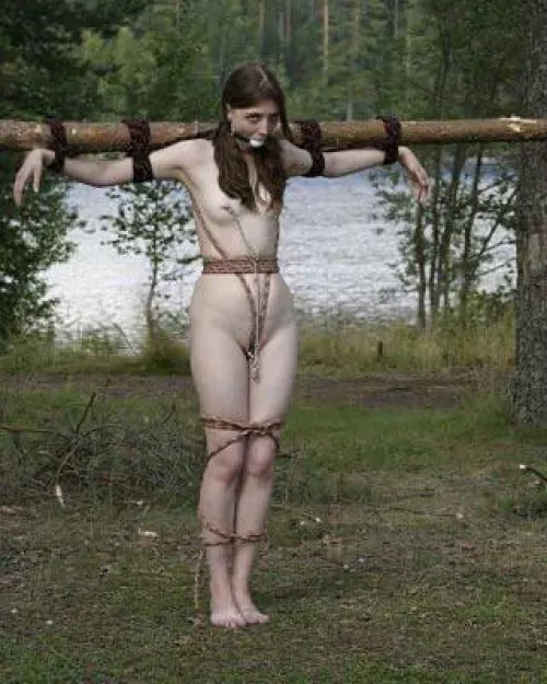 Unhappy yard ornaments 