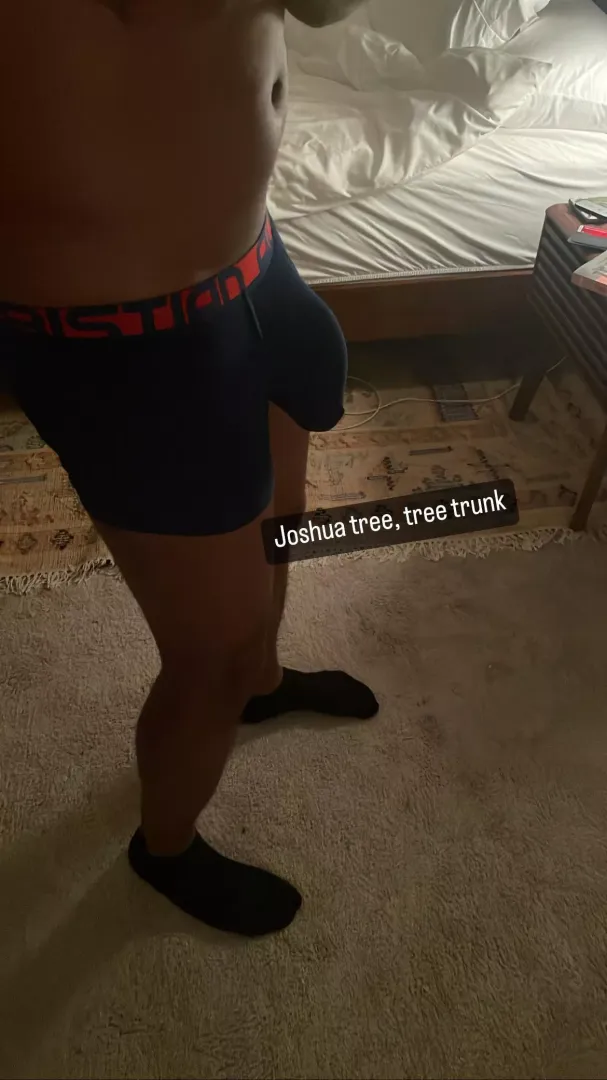 Vacay bulge