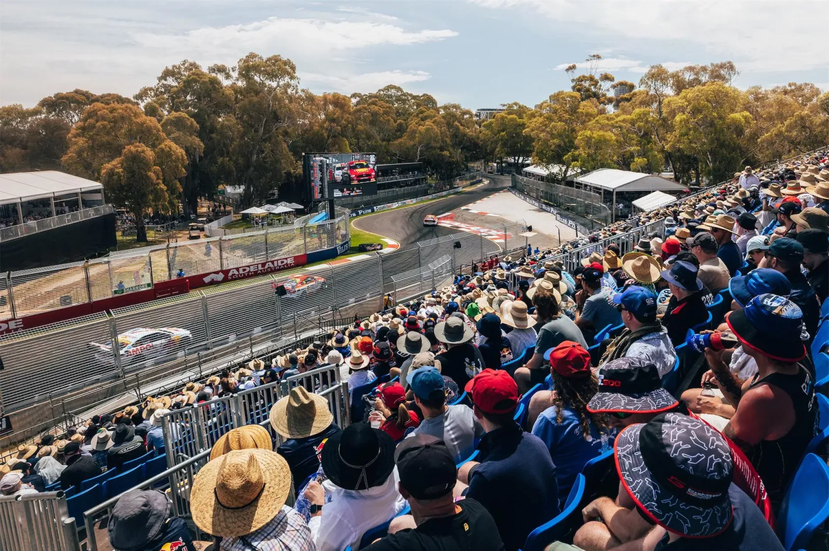 Vailo Adelaide 500 All 4 days