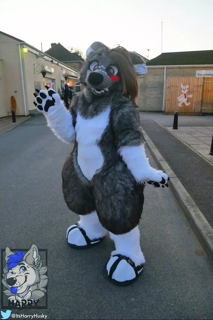 VAMP FULLSUIT!