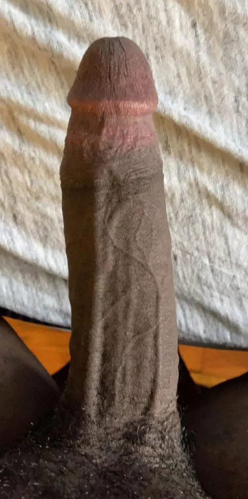Veins.