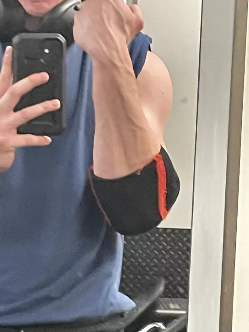Veins