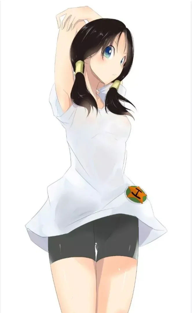 Videl pits.