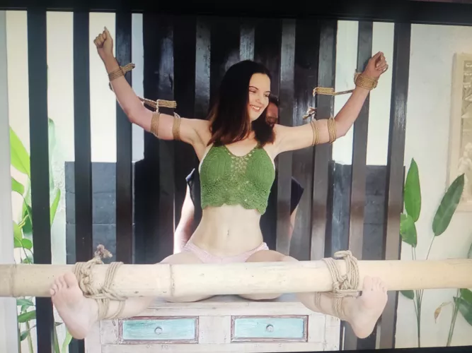 Video source and model name?