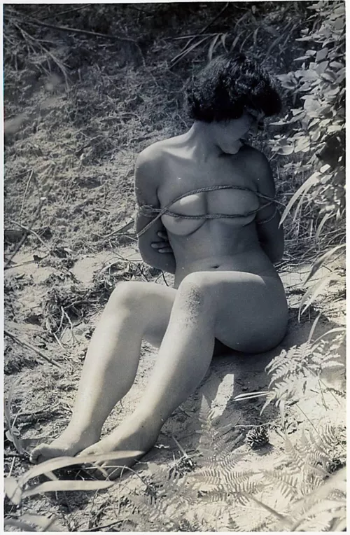 Vintage woodland fun