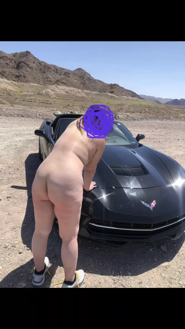 Viva Lake Mead