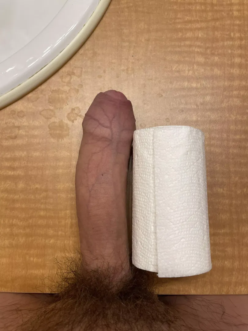 Vs a toilet roll
