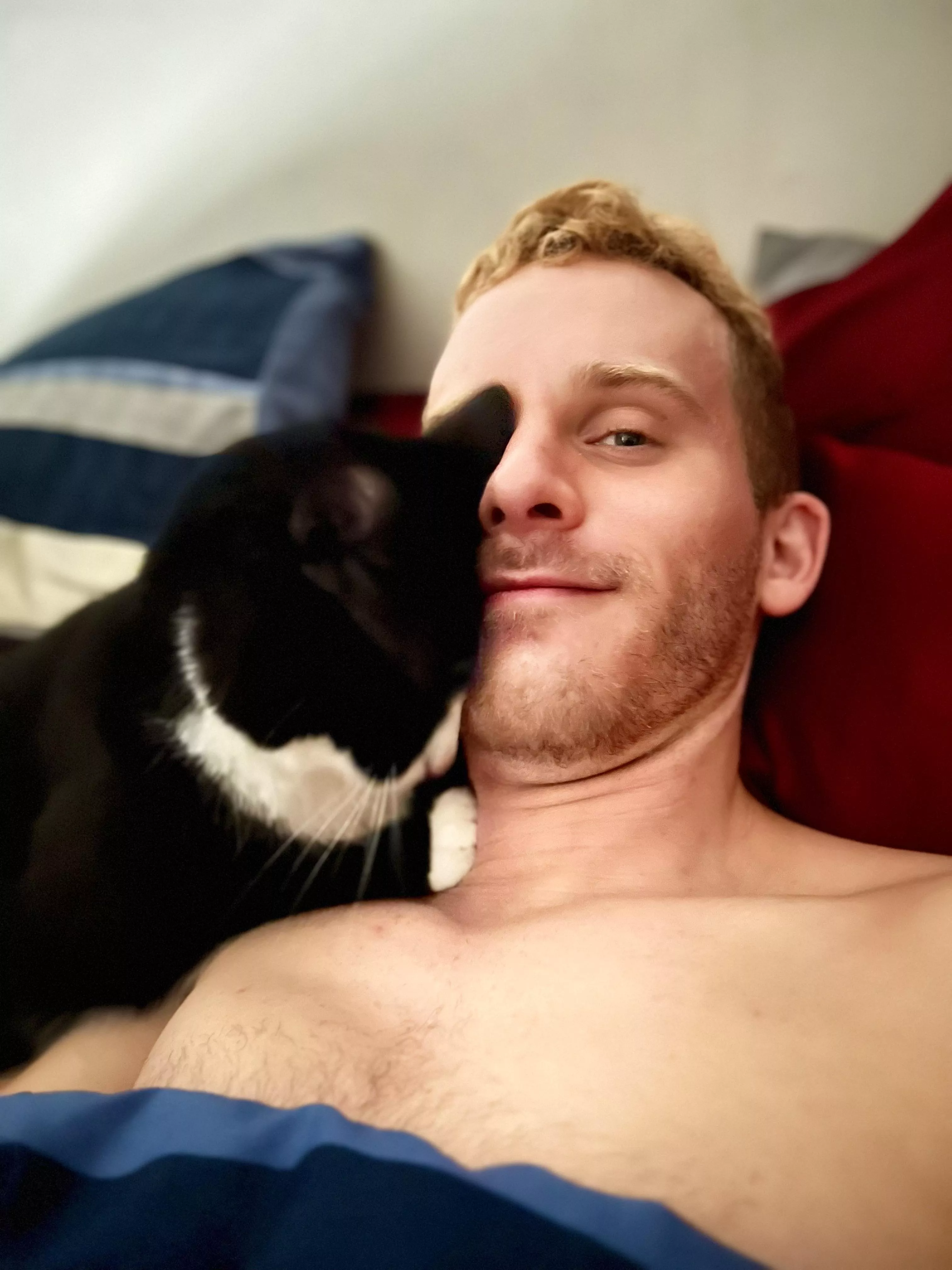 Waking up to kitty hugs ❤️