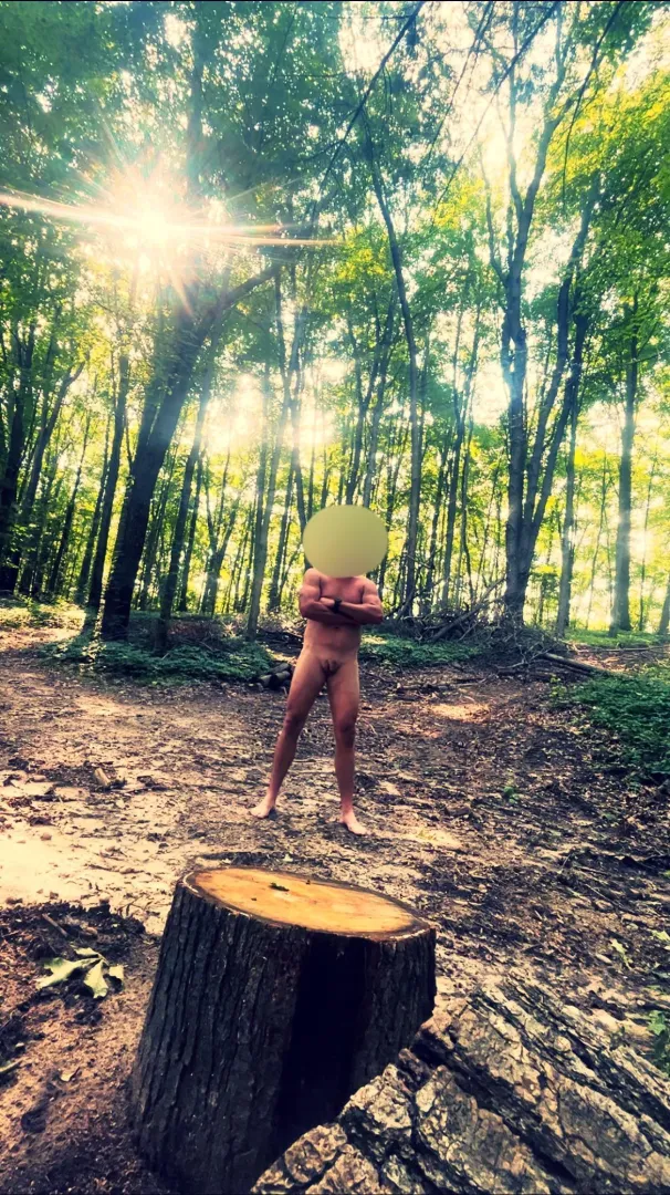 Wandering the woods is my favorite