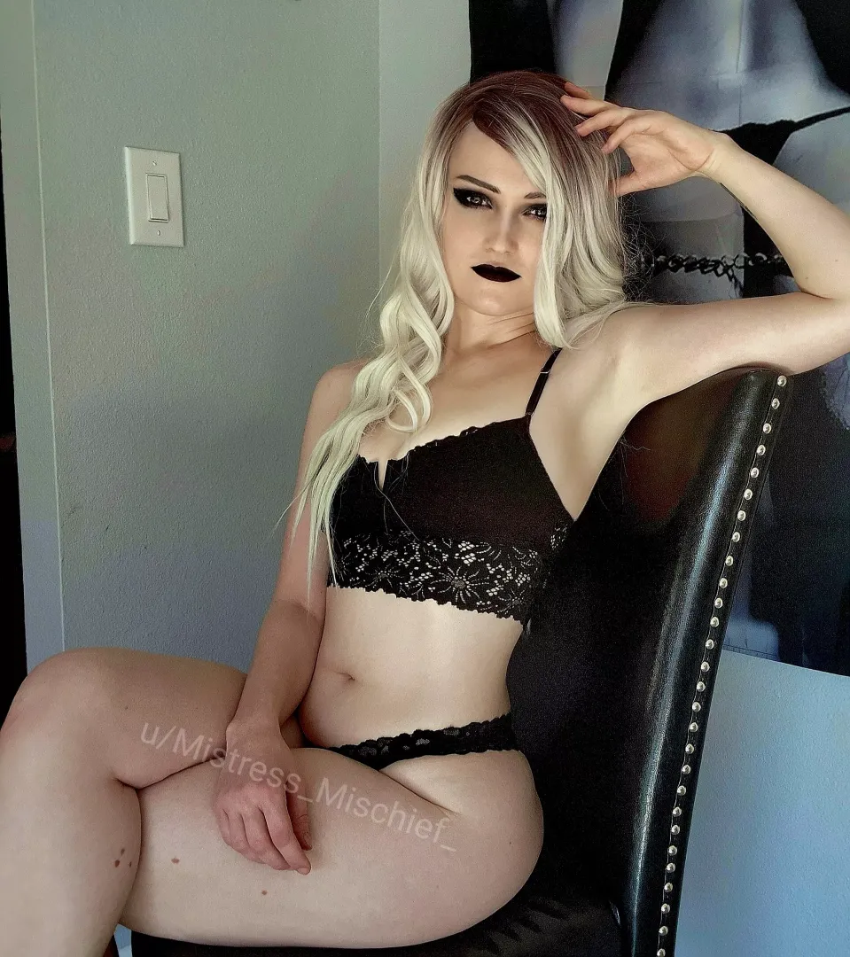 Wanna be my new least favorite toy?
