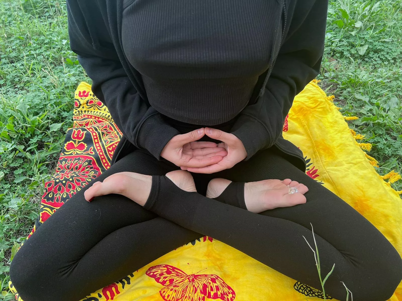 Wanna join my meditation? So...focus on your breath!