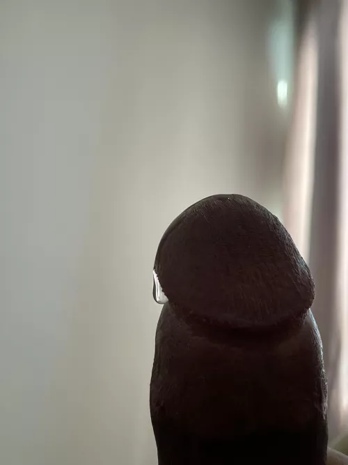wanna lick?