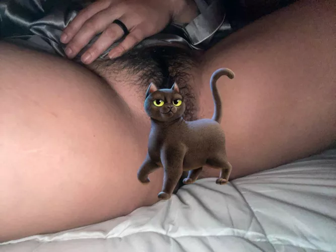 Wanna pet this pinay bushy kitty?;)