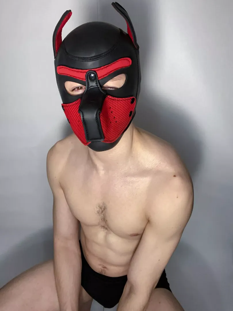 Wanna play?