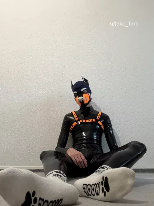 wanna play a little?