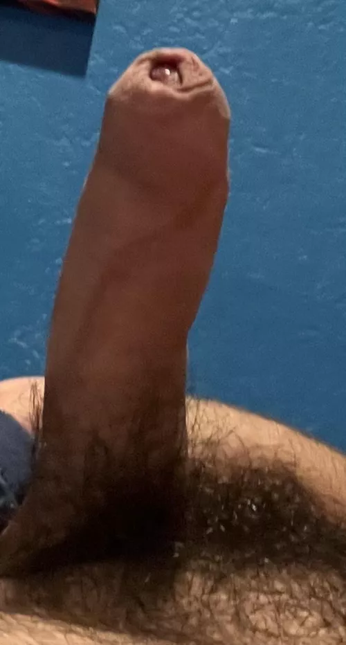 Want me to breed you?