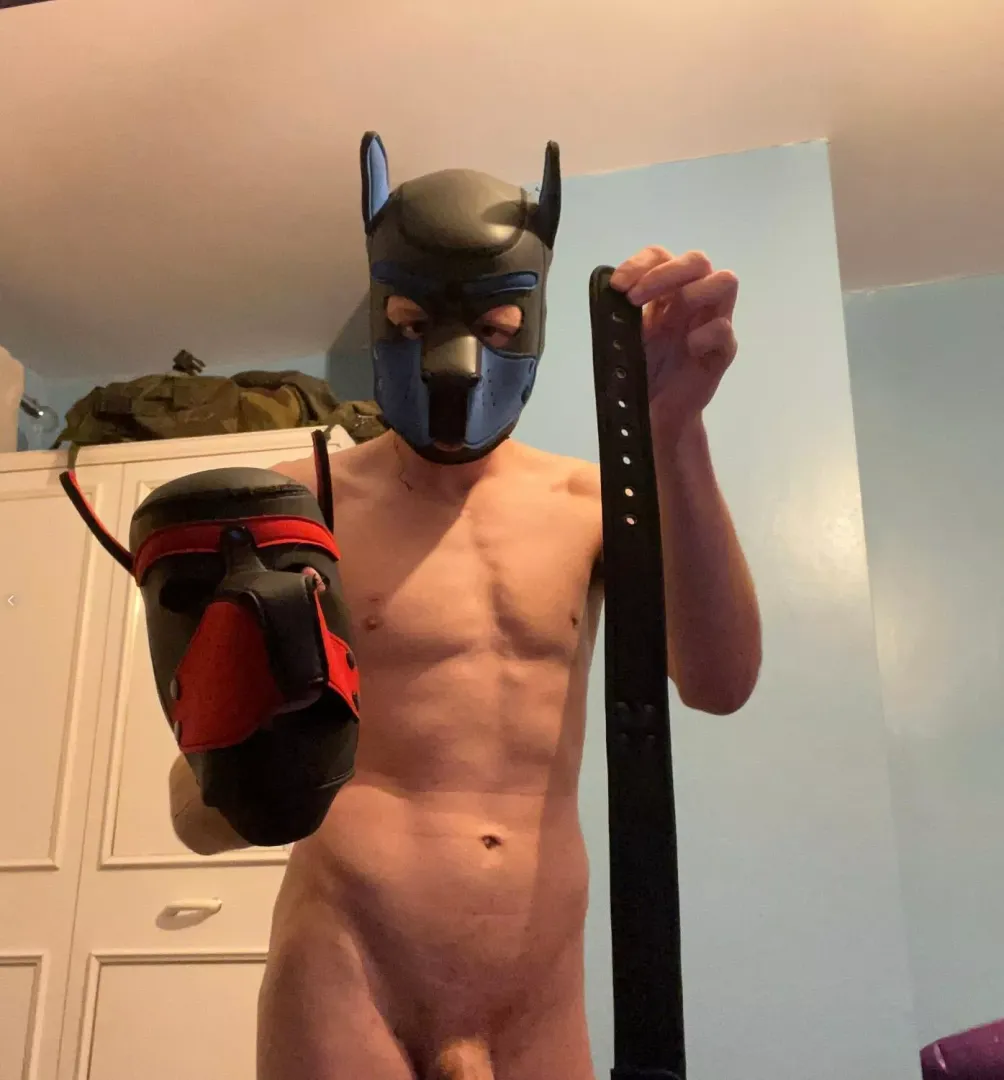Want To Play?