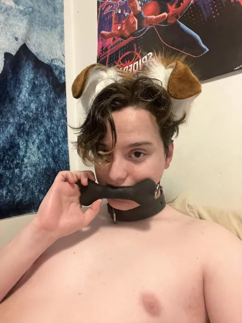 Warning; I bite >:3