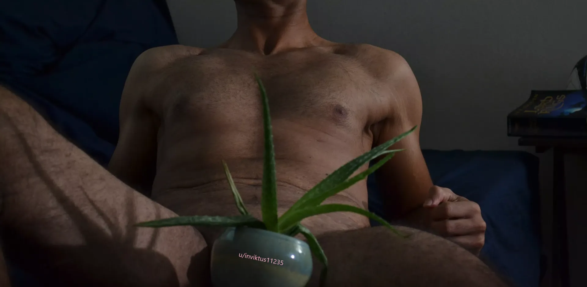 Water my sprout