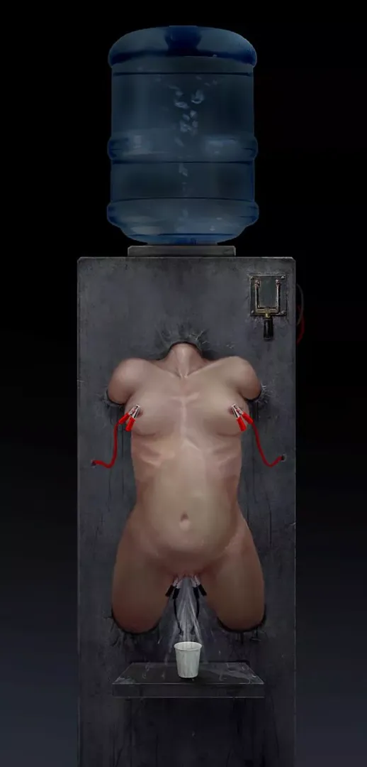Water purifier