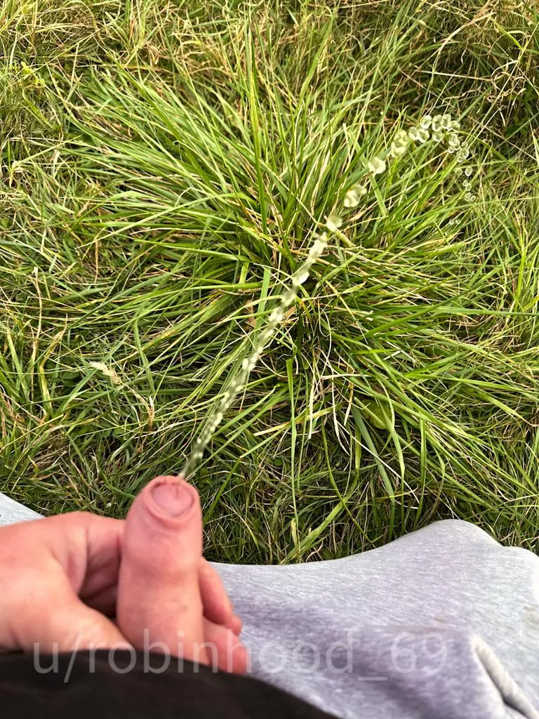 Watering grass, but I can pee on you 💦💦