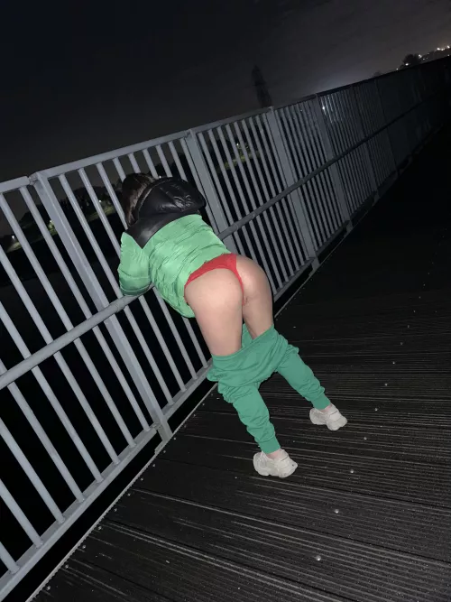 We stopped for a quickie on the bridge😈