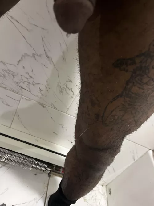 Webs