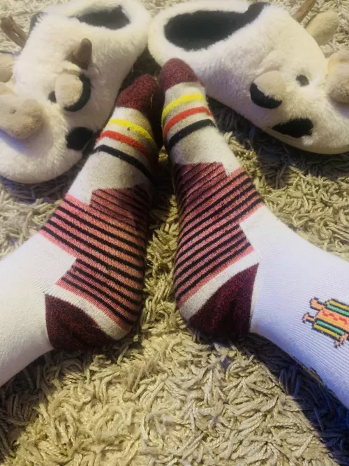 Week long worn hot dog socks 🌭 DM me:).