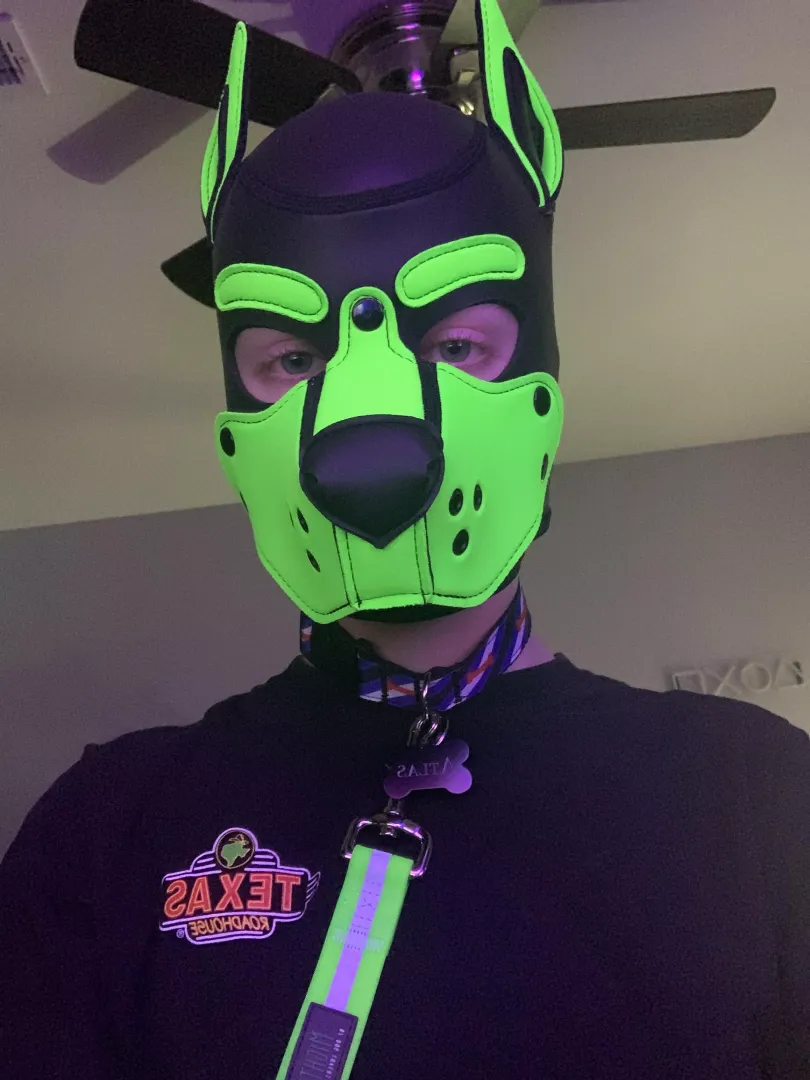 Welcome, I’ll be your server tonight. How can I start you off?