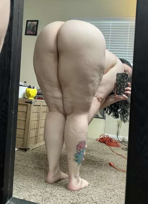 Welcome to PAWGS4L!