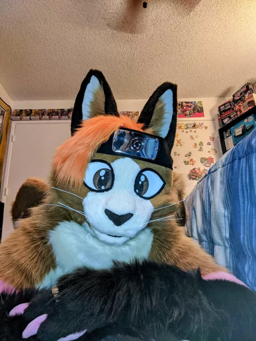Well hello. Want to join furry? Let's discuss that shall we?