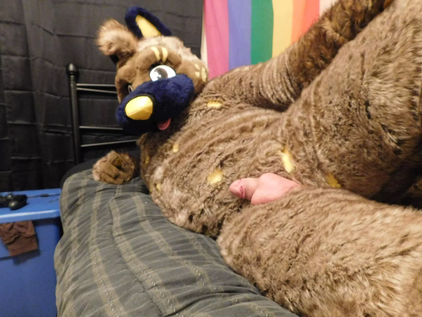 Well howdy