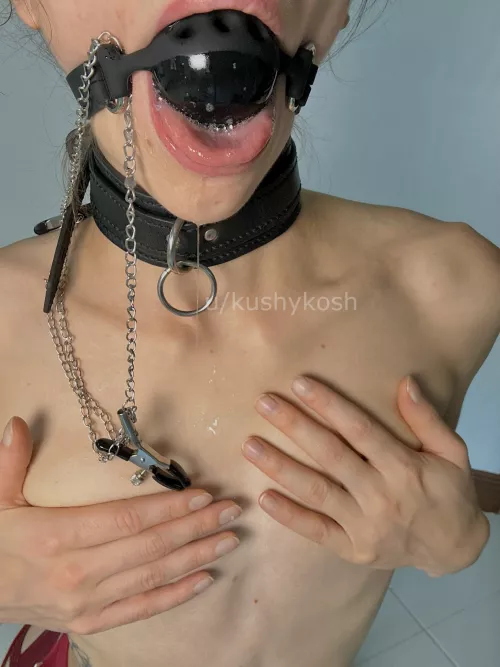 Well trained and ready to follow your orders