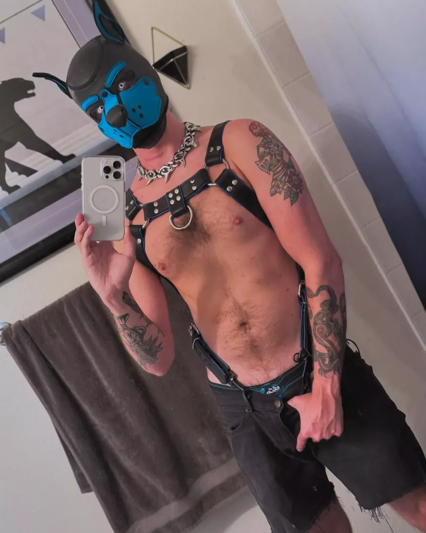 Went to my first pup event the other night, it was so much fun!