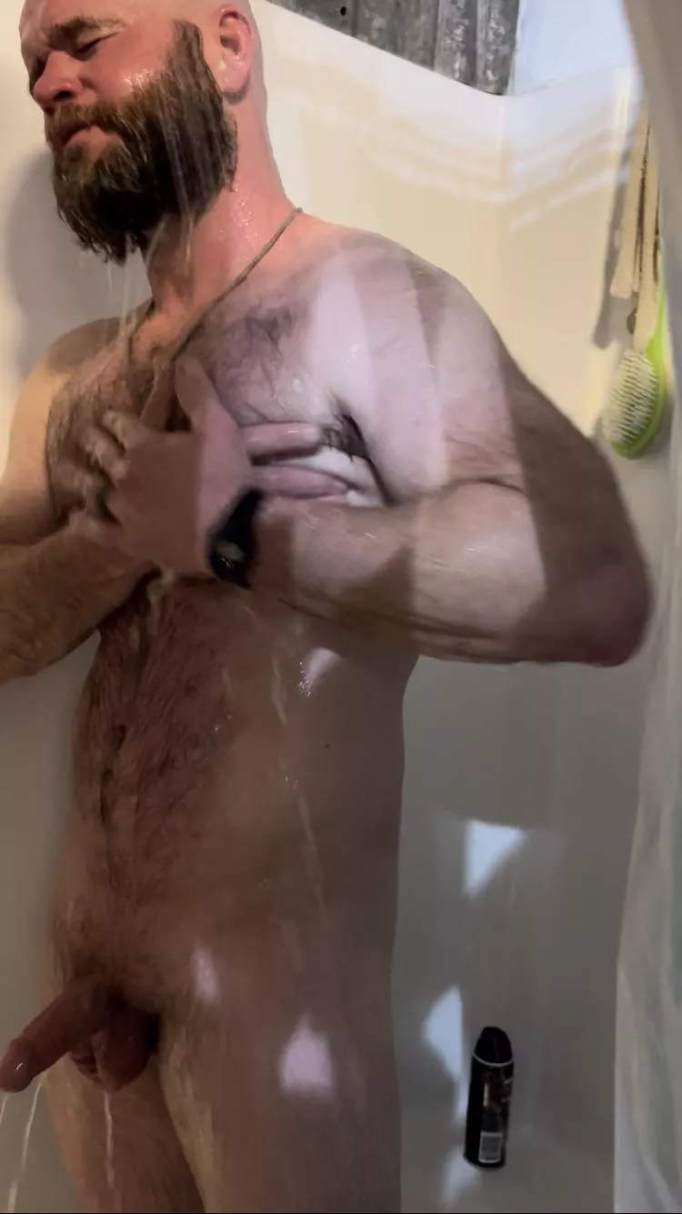 wet an wild