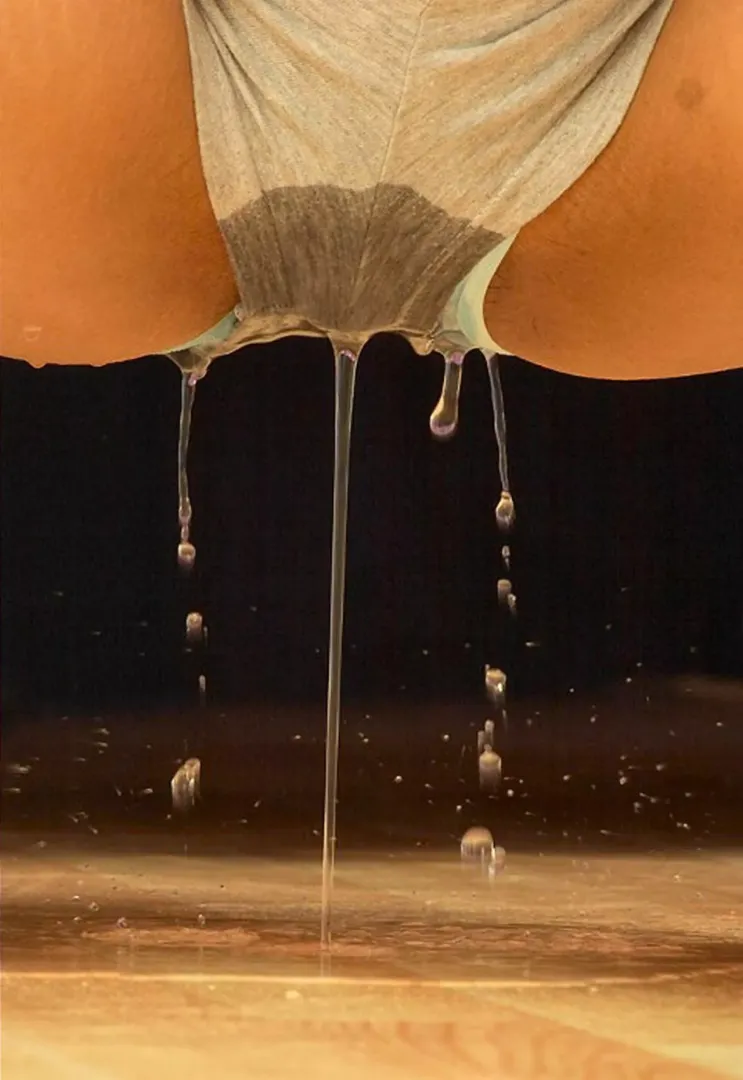 Wet and wild