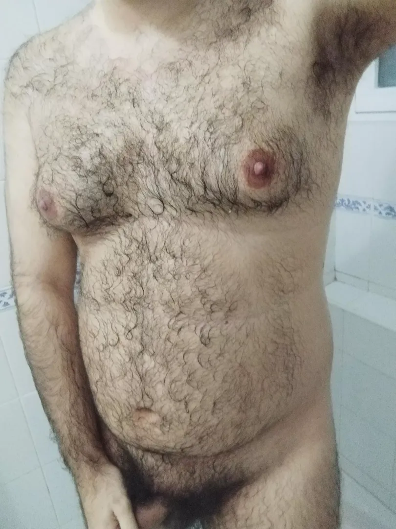 wet fur chubby bear