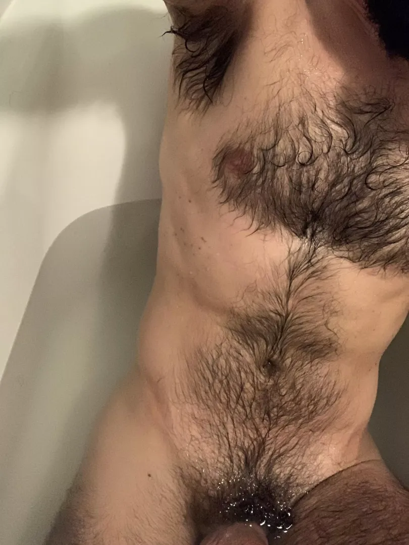 Wet fur