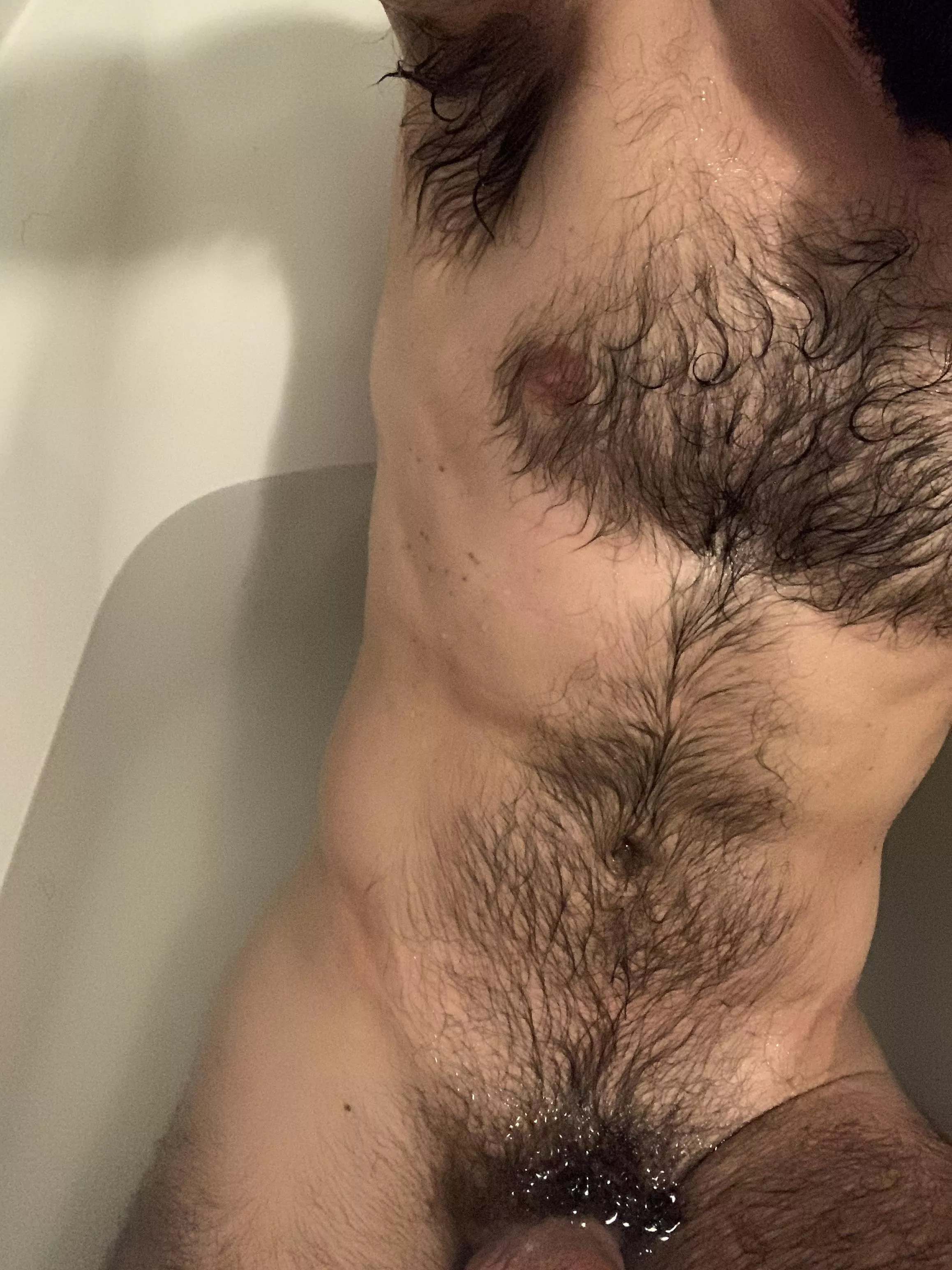 Wet fur
