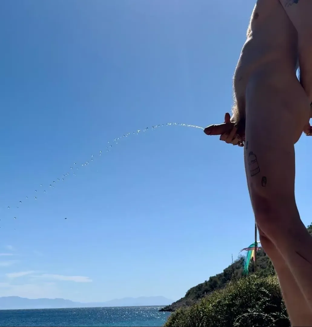 What a view