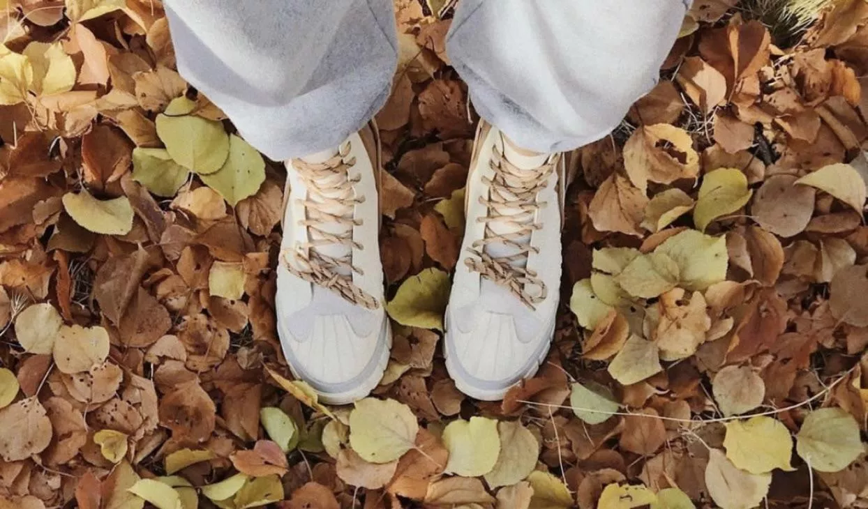 What are these???