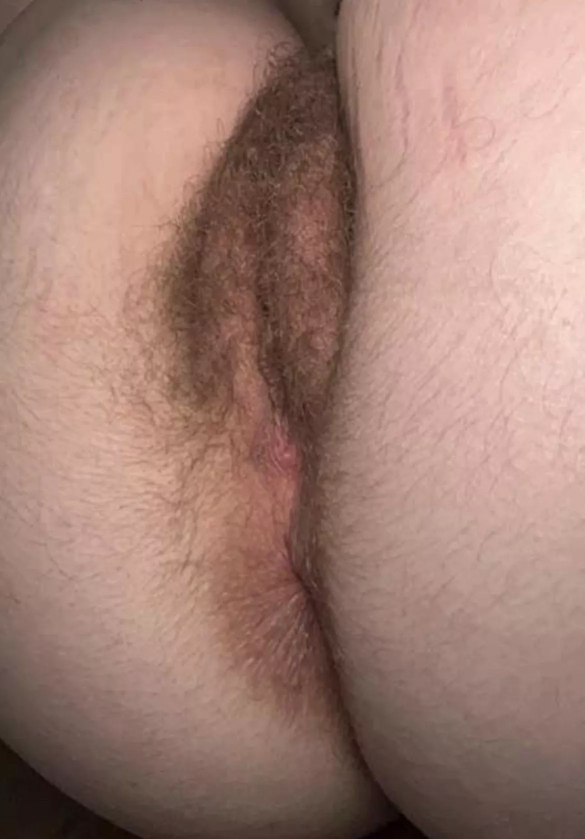 What are you [h]aving for thanksgiving dinner?