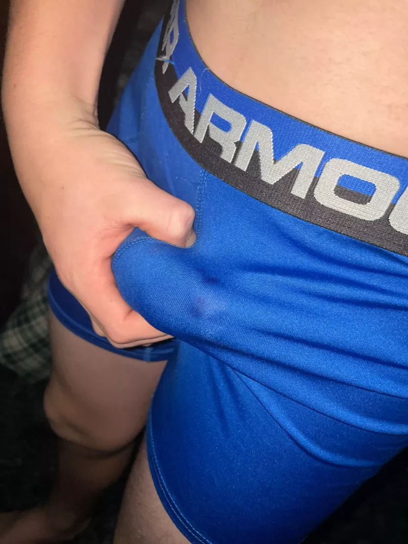 What do ya think?